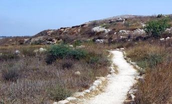path_journey